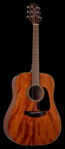 TAKAMINE VIOLAO GLD11E NS