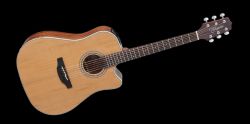 TAKAMINE VIOLAO GD20 CE  NT