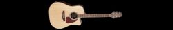 TAKAMINE VIOLAO GD93 CE NT